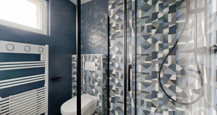 Au centre du village, vue lac image 12