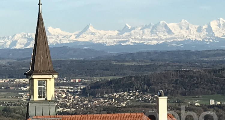 Grosszügige Attikawohnung mit Blick auf die Alpen image 1