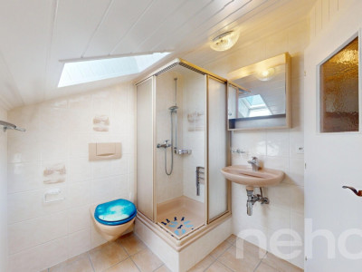 Le Bouveret: Villa de deux appartements en PPE image 9