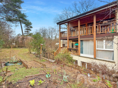 Au bout dun chemin sans issue image 1