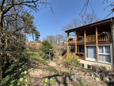 Au bout dun chemin sans issue image 1