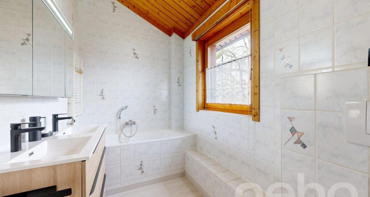 Au bout dun chemin sans issue image 11