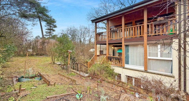 Au bout dun chemin sans issue image 2