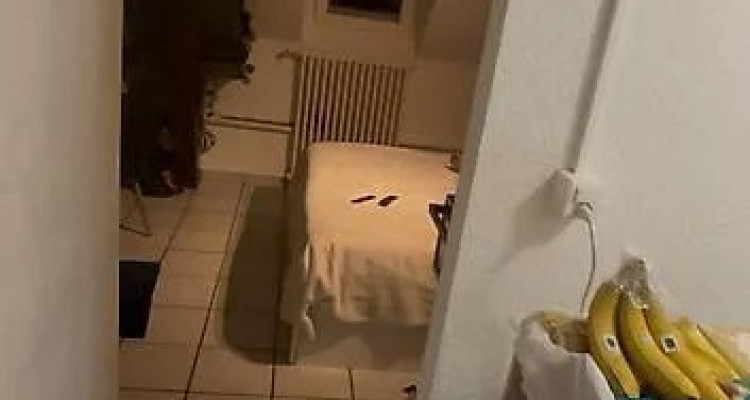 🏡 Reprise de bail – Studio 1.5 pièce, Lausanne (Avenue de Menthon) au 01.04.202 image 4