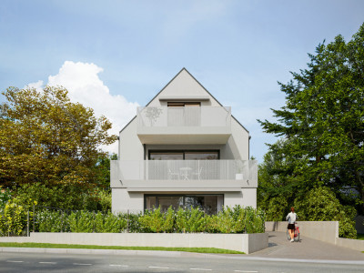 Magnifique duplex NEUF image 2