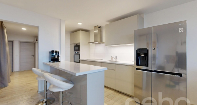 Apartement 3,5p rénové avec vue lac proche gare image 4