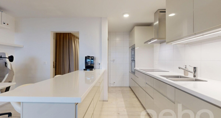 Apartement 3,5p rénové avec vue lac proche gare image 12