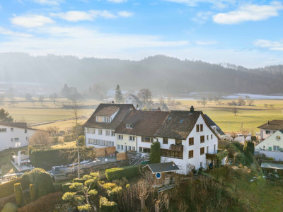 6.5-Zimmer-Eckreihenhaus mit Weitsicht, grossem Garten und Geschichte image 1