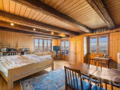 6.5-Zimmer-Eckreihenhaus mit Weitsicht, grossem Garten und Geschichte image 8