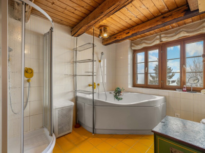 6.5-Zimmer-Eckreihenhaus mit Weitsicht, grossem Garten und Geschichte image 9