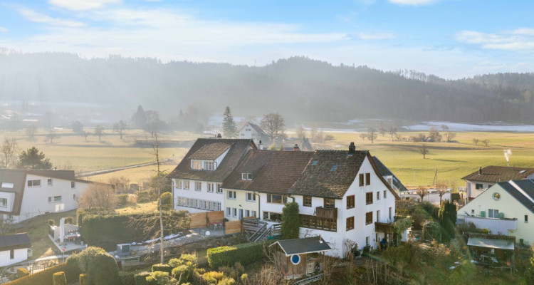 6.5-Zimmer-Eckreihenhaus mit Weitsicht, grossem Garten und Geschichte image 1