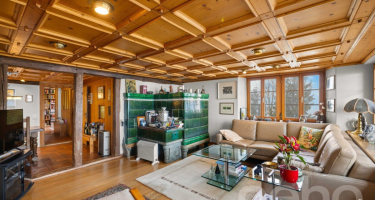 6.5-Zimmer-Eckreihenhaus mit Weitsicht, grossem Garten und Geschichte image 4