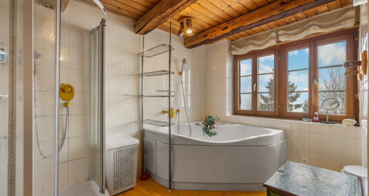 6.5-Zimmer-Eckreihenhaus mit Weitsicht, grossem Garten und Geschichte image 9