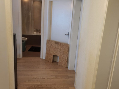 Appartement 3,5 à Bavois 2120fr image 4