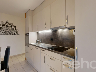 Superbe 3,5 pièces avec terrasse exceptionnelle de 88 m² et garage image 4