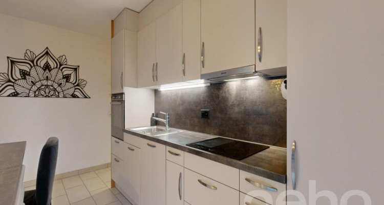 Superbe 3,5 pièces avec terrasse exceptionnelle de 88 m² et garage image 4