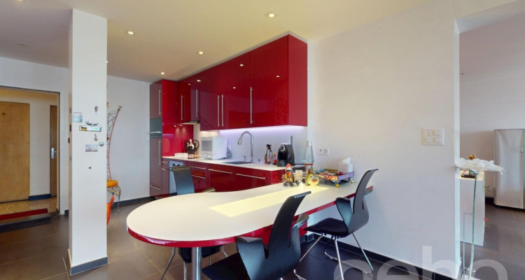 Appartement entièrement rénové plein centre Champéry, vue panoramique image 4