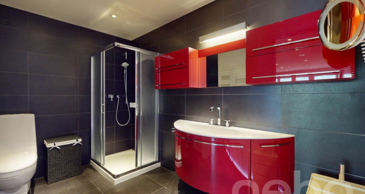 Appartement entièrement rénové plein centre Champéry, vue panoramique image 7