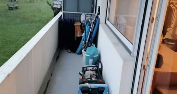 Appartement 3 pièces à Onex image 4