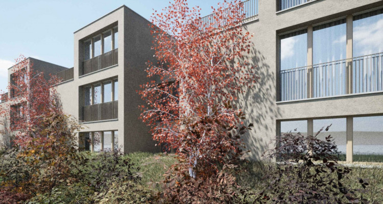 A vendre 3 magnifiques villas sur la commune de Matran image 8