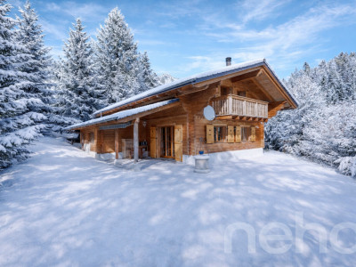 Chalet familial aux Diablerets | Authentique ? Lumineux ? Paisible image 1