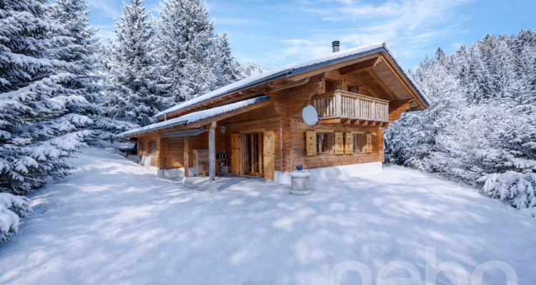 Chalet familial aux Diablerets | Authentique ? Lumineux ? Paisible image 1