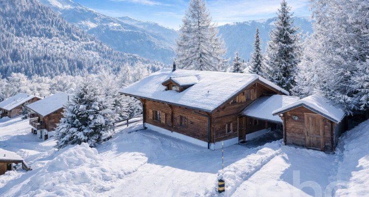 Chalet familial aux Diablerets | Authentique ? Lumineux ? Paisible image 3