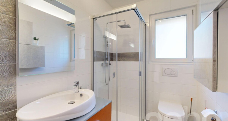 Vernayaz - Villa individuelle image 10