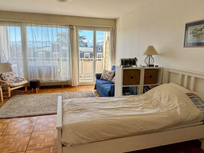 Studio Meublé situé a Champel image 1