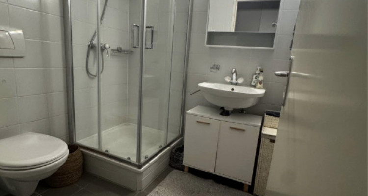 Appartement de 7 pièces situé Chêne - Bourg. image 6