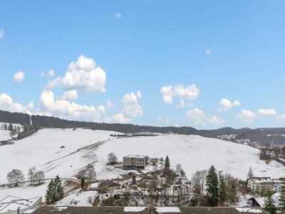 Coup de cœur au Locle : Espace, Lumière et Vue Panoramique image 1