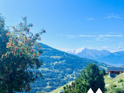 CHARMANT STUDIO DE 52 M2, MASE ! ( MONT-NOBLE ) image 9