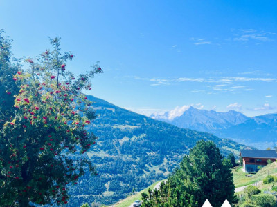 TERRAIN CONSTRUCTIBLE DE 533 M2 ! MASE (MONT-NOBLE) image 6