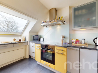 Grosszügige Dachwohnung mit Terrasse und Cheminée image 7