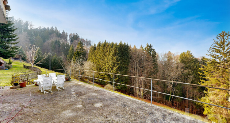 Raum für Träume Haus mit Einliegerwohnung und 9?726 m2 Grundstück image 10