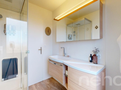 Ruhige 4.5-Zimmer-Wohnung am Fuss des Uetlibergs image 8