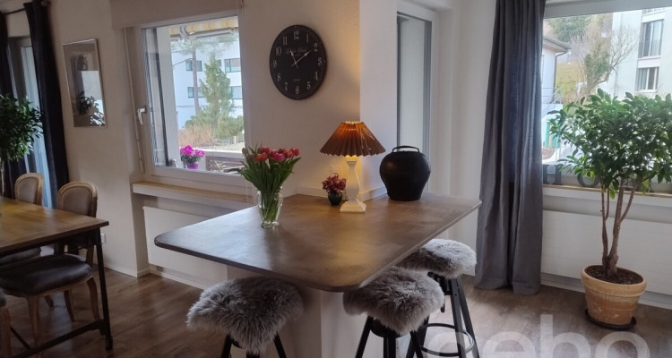 Ruhige 4.5-Zimmer-Wohnung am Fuss des Uetlibergs image 5