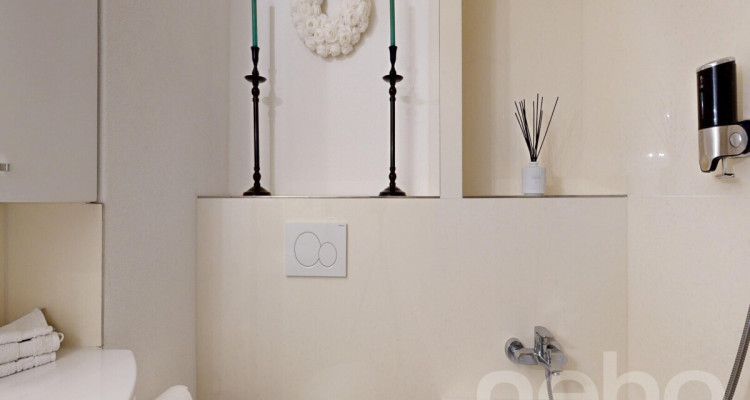 Ruhige 4.5-Zimmer-Wohnung am Fuss des Uetlibergs image 12