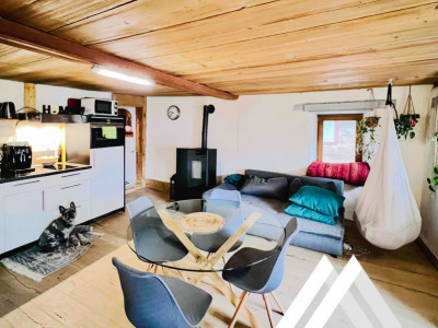 MAGNIFIQUE DUPLEX RÉNOVÉ DE 3.5 PCS, MASE ( MONT-NOBLE ) image 3