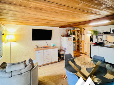 MAGNIFIQUE DUPLEX RÉNOVÉ DE 3.5 PCS, MASE ( MONT-NOBLE ) image 4