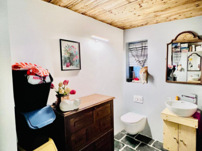 MAGNIFIQUE DUPLEX RÉNOVÉ DE 3.5 PCS, MASE ( MONT-NOBLE ) image 9