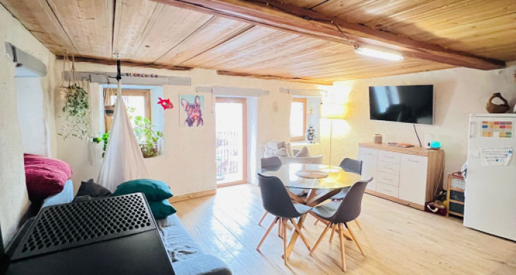 MAGNIFIQUE DUPLEX RÉNOVÉ DE 3.5 PCS, MASE ( MONT-NOBLE ) image 2