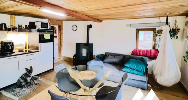 MAGNIFIQUE DUPLEX RÉNOVÉ DE 3.5 PCS, MASE ( MONT-NOBLE ) image 3