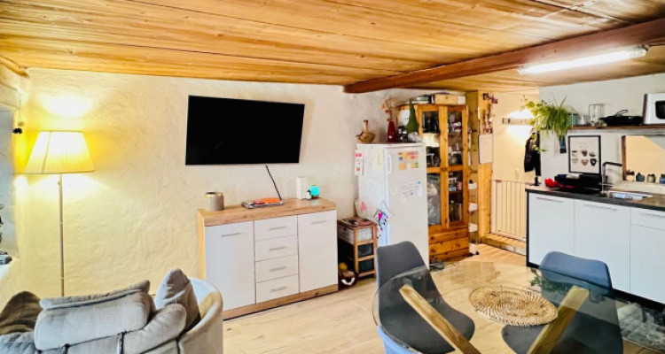 MAGNIFIQUE DUPLEX RÉNOVÉ DE 3.5 PCS, MASE ( MONT-NOBLE ) image 4