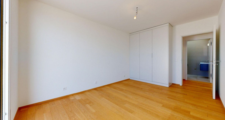 Villa contemporaine dexception à St-Saphorin (Lavaux) – Vue lac panoramique image 6