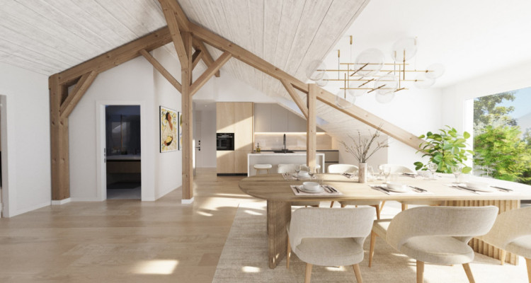 Charme ancien, style moderne. 3,5 pièces / 100m² au volume généreux image 3