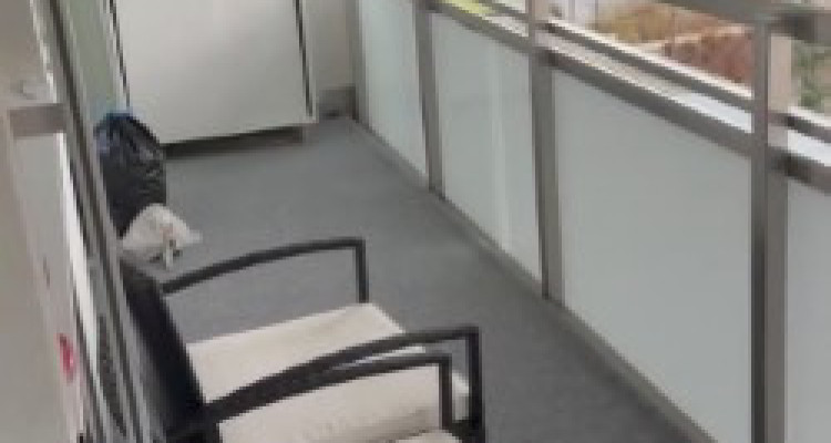 Appartement 5 pièces situé à Chêne-Bougeries image 8