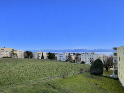 Charmant appartement en viager occupé sans rente, idéalement situé à Mont-sur-Rolle, au coeur de lun des villages les plus prisés de La Côte. image 1