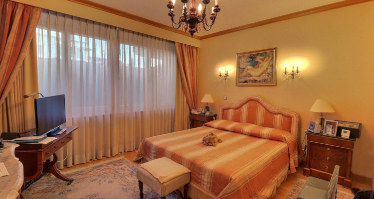 BIEN EXCEPTIONNEL!! Grand appartement en viager occupé sans rente. Vue Lac et Port privé. image 12