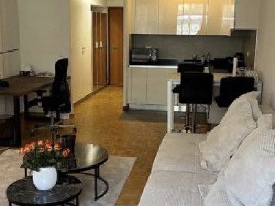 Appartement 1.5 pièces situé aux Eaux Vives image 2